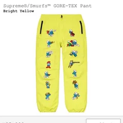 未使用 supreme GORE-TEX ノースフェイス パンツ オーバーオール ノースフェイス RTG ゴアテックスビブ | APORITO（アポリト