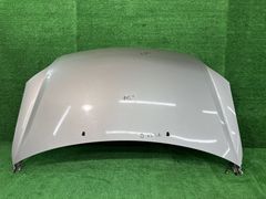 ラウム NCZ25 ボンネット・フードパネル ラウム Cパッケージ 4WD 53301-46020 1D9