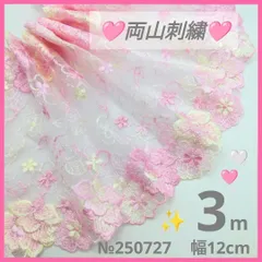 【ラスト2.9m】№250727 チュールレース 両山刺繍