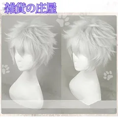 2025年最新】坂田銀時 ウィッグの人気アイテム - メルカリ