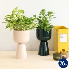 専用出品  レア イッタラ 一輪挿し 専用出品 レア イッタラ 一輪挿し 2025年最新】イッタラ 花瓶の