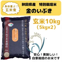 食品・飲料・酒備蓄米⭐︎令和3年精米 はえぬき 胚芽精米 無洗米10kg（5kg×2袋）