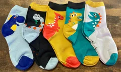 恐竜柄 キッズ靴下5足セット 16〜18cm