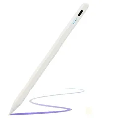 新品 スタイラスペン iPad Apple Pencil アップルペンシル タッチペン iPad用ペン 予備ペン先 超高感度 極細 Type-C急速充電 傾き感知/磁気吸着/誤作動防止機能 軽量 耐摩 2018年以降 iPad Pro air mini対応