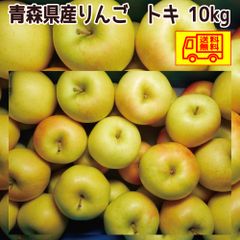 青森県産　りんご　ご家庭用　トキ　10ｋｇ　　送料無料！