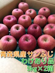 青森県産りんご「サンふじ」『わけあり品』 10kg（5kg×2箱)