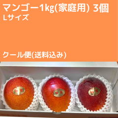 沖縄県産　訳ありマンゴー　1㎏