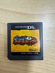 DSソフト ぼくらはカセキホリダー