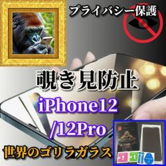 覗かせない!【iPhone12/12Pro iPhone12mini iPhone12ProMax】強化ガラスフィルム 気泡防止 指紋防止 飛散防止 簡単貼り付け 高硬度9H☆大切な情報を保護 プライバシー保護☆《高品質ゴリラガラス》覗き見防止フィルム
