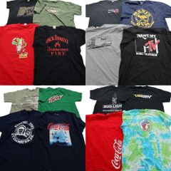 古着卸 まとめ売り 有名企業 半袖Tシャツ 16枚セット (メンズ L ) バッキーズ ガスモンキー フェデックス マウンテンデュー 古着 NA6989
