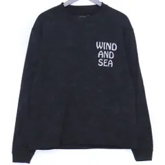 WIND AND SEA パームツリー L/S Tシャツ Mサイズ ブラック WDS-O-AEOS-25-Q1-CS-01