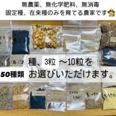 無農薬　無消毒　無科学肥料　種　苗　種芋
