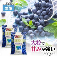 冷凍ブルーベリー ノースイ VeryBerry 大容量 ブルーベリー 業務用 1kg (500g ×2) 冷凍 ベリー スイーツ 冷凍フルーツ SC 「冷凍ブルーベリー」