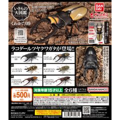 BANDAI いきもの大図鑑くわがた09