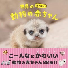 ☆かたぱんさま専用☆ おまとめ リピーターさま 映画チラシ ご注文品