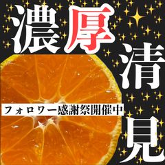 こい〜清見オレンジ　3キロ
