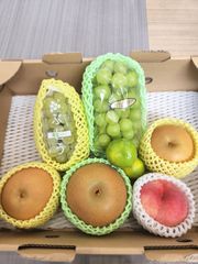 ☆オークネット☆様専用です！　クール便