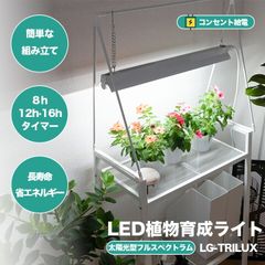LED植物育成ライト 卓上育成ライト 卓上 植物育成 室内植物栽培 テーブルグローランプ タイマー LG-TRILUX ビームテック