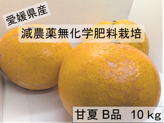 愛媛県産、減農薬、無化学肥料栽培　甘夏　Ｂ品10㎏