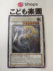 遊戯王　海外版　英語　エンシェント・ホーリー・ワイバーン / Ancient Sacred Wyvern　ANPR-EN043
