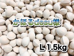 かほるdesu様専用　愛知県祖父江産　銀杏　L 1.5kg