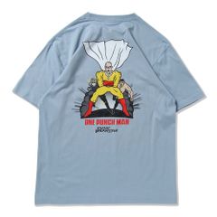 ［PDSxワンパンマン］ 趣味でヒーローをやっている者だTEE