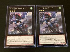 飾磨店】 中古 トレーディングカード PSA10 風に舞う花びらの中