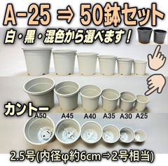 〇平日＊日中注文即日発送-A-25白(内径φ6.1cm:2号相当)カントープラ鉢50鉢セットA25※黒も混合可＊多肉植物・塊根植物コーデックス・アガベ・サボテン・ハオルチア・アデニウム・パキポディウム＠フラワーショップ江口※黒インク状の付着が有ったりします