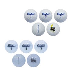 Item thumbnail for item 322cae4d-4bb0-4200-b2f0-f7f12993a620