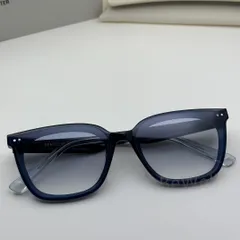 ジェントルモンスター HEIZER-NC2 付属品完備 Heizer NC2 | Gentle Monster