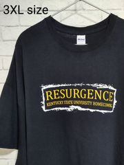 3XL／US古着／Ｔシャツ／カレッジ系／バックプリント／ビッグサイズ／GILDAN