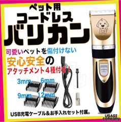 Item thumbnail for item 097bc65c-c129-44e7-840e-01a4a4eb996b