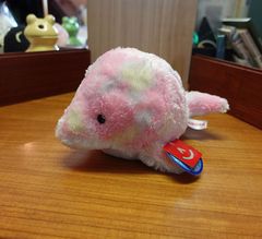 【5個セット】イルカ カラフル ぬいぐるみ