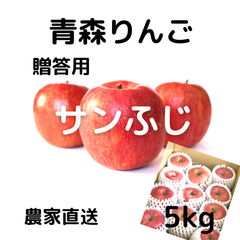 青森県産りんご　サンふじ　贈答用　5kg