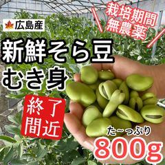 【訳あり】無農薬　新鮮そら豆　むき身800g以上 　広島産　お得用　野菜セット　ネコポスいっぱい