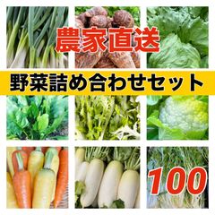 朝取り新鮮野菜‼️野菜詰め合わせセット‼️100