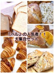 『ベル』の人気者！！大集合セット