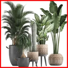 【在庫セール】鉢植え 緑 景色 壁紙シール グリーン はがせる おしゃれ 北欧 トロピカル ウォールステッカー観葉植物 壁すてっかー ベッドルーム リビングルーム 大きい Condessacity ウォールシール plant wall stickers