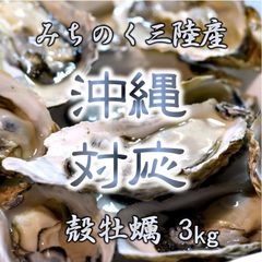 沖縄対応 生食OK 3kg 三陸産 殻付き生牡蠣 亜鉛 鉄分 ミネラル豊富