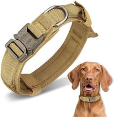 Item thumbnail for item 028e3c91-5296-4af4-87c6-5286f9d5dd8c