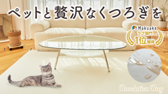 【SALE】店舗保管品 Revolution Rug 170×230cm ラグ マット 洗濯可能 オールシーズンOK 高性能滑り止め付 アイボリー 韓国インテイリア