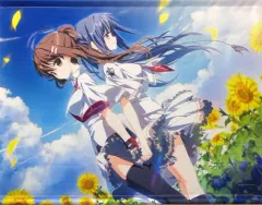 素晴らしき日々　タペストリー　2本セット Amazon.co.jp: 素晴らしき日々 不連続存在 ソフマップ 同梱特典