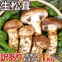 バウちゃん松茸1キロ 楽天市場】中国産松茸 1kgの通販
