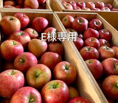 E様専用