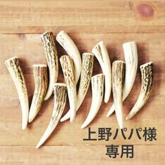 上野パパ様専用