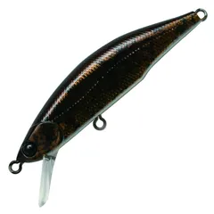 本日限定新品未使用　メテオーラ52 10個セット+ACT55 グリーム 本日限定新品未使用 メテオーラ52 10個セット+ACT55 グリーム