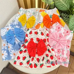 犬服 夏用 ドッグウェア ペットウェア Tシャツ ワンピース 抜け毛防止 女の子 花柄 夏服 リング付き お散歩楽々 おしゃれ。 可愛いお揃い 男の子 部屋着  her4y175352のサムネイル