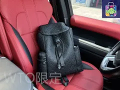 【今日特価】Louis Vuitton ルイ・ヴィトン クリストファー ダブルショルダーバッグ 送料無料 限定セール価格！