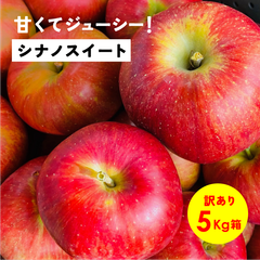 発送中「シナノスイート5キロ箱訳あり品」農林水産大臣賞 長野県産 安曇野 信州産