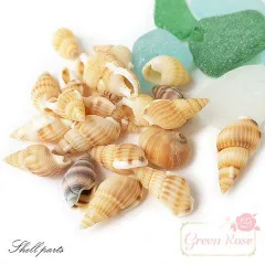 巻貝の貝殻 10g アクセサリーパーツ Kai-002